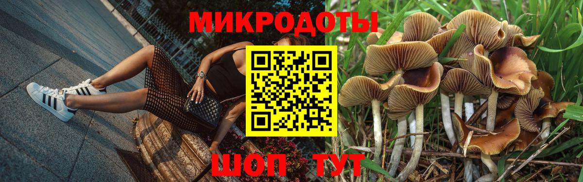 Псилоцибиновые грибы MAGIC MUSHROOMS  Галлюциногенные грибы Cubensis  Димитровград  Вход с VPN 